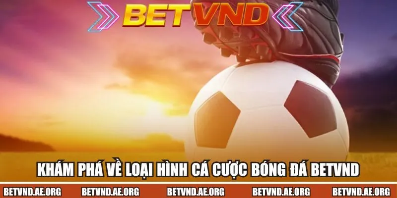Khám phá về loại hình cá cược bóng đá siêu hot